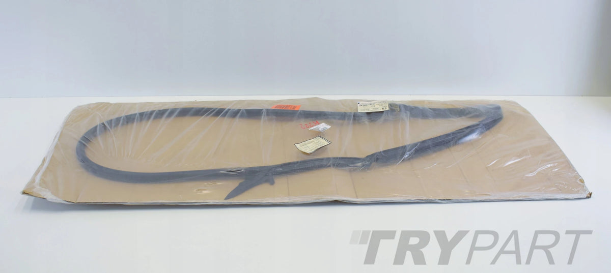 VW ARTEON 3G8 DOOR SEAL LEFT REAR ORG NEW