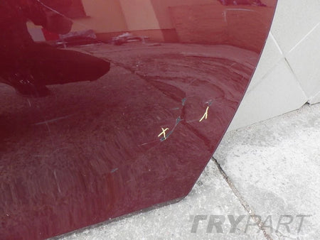 BMW I3 L01 13- Rear Left Door
