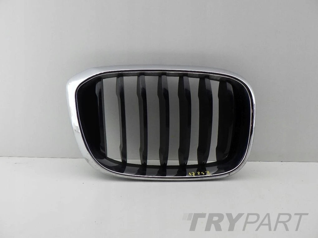 BMW X3 G01 X4 G02 right left kidney grill grille